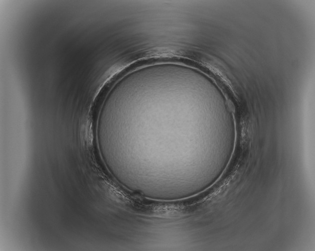 X0000113030973200909171457