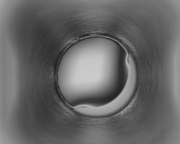 X0000113030977200909171457