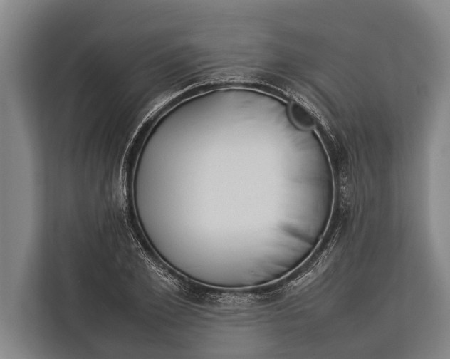 X0000113030981200909171457