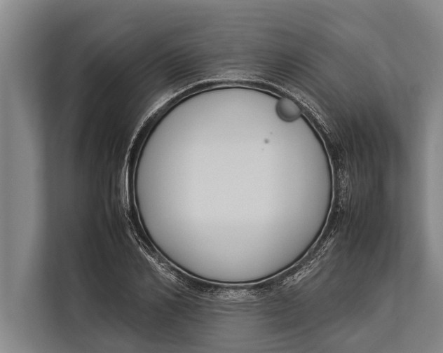 X0000113030982200909171457