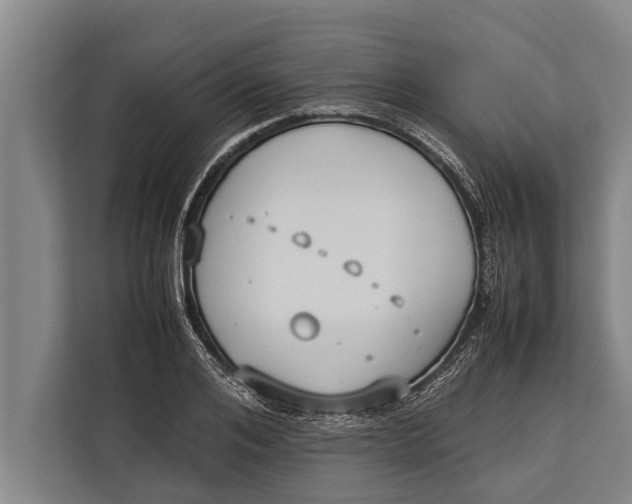 X0000113030984200909171457