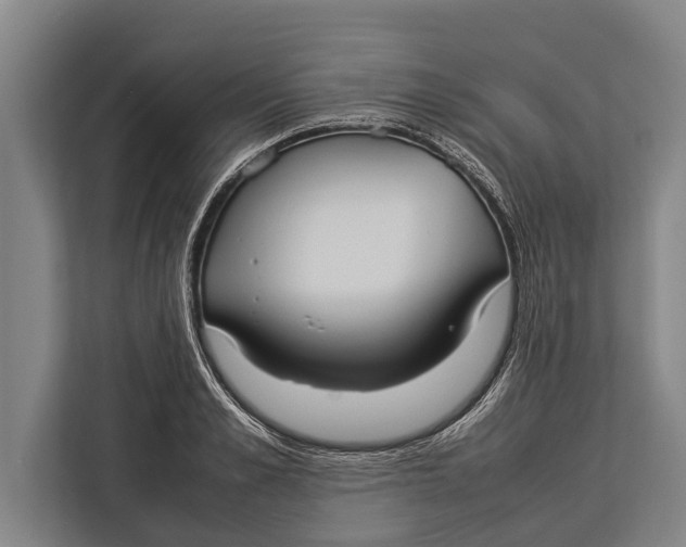 X0000113030989200909171457