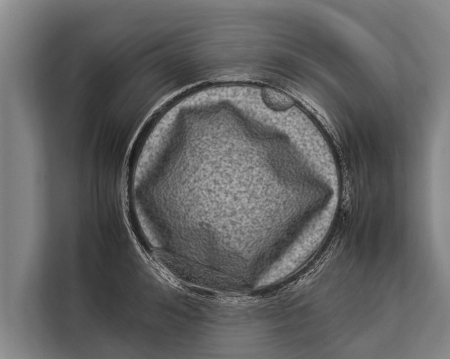 X0000113030992200909171457