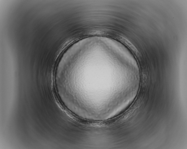 X0000113030994200909171457