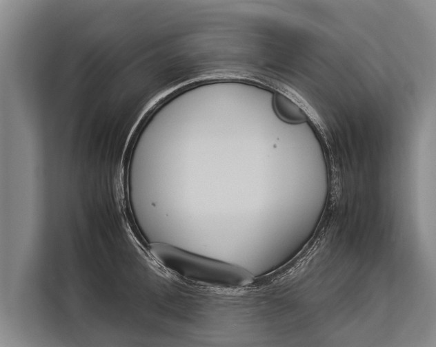 X0000113030996200909171457