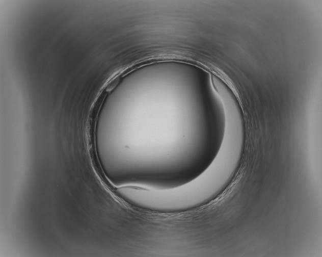 X0000113030997200909171457