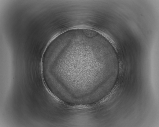 X0000113030998200909171457