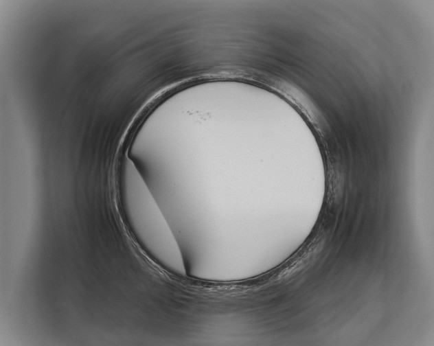 X0000113031000200909171457