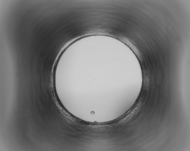 X0000113031004200909171457