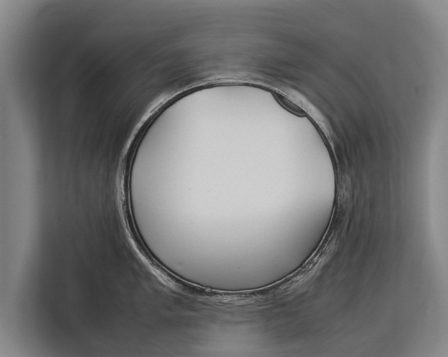 X0000113031005200909171457