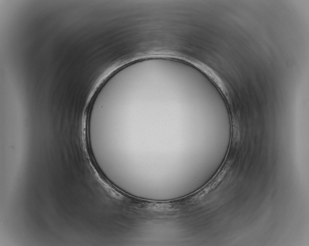 X0000113031006200909171457