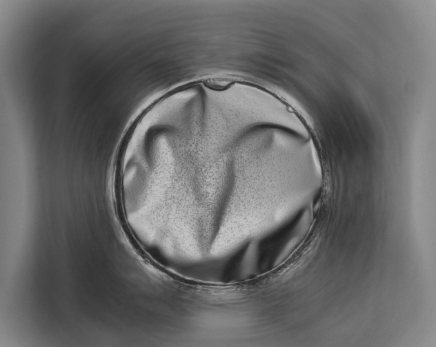 X0000113031007200909171457