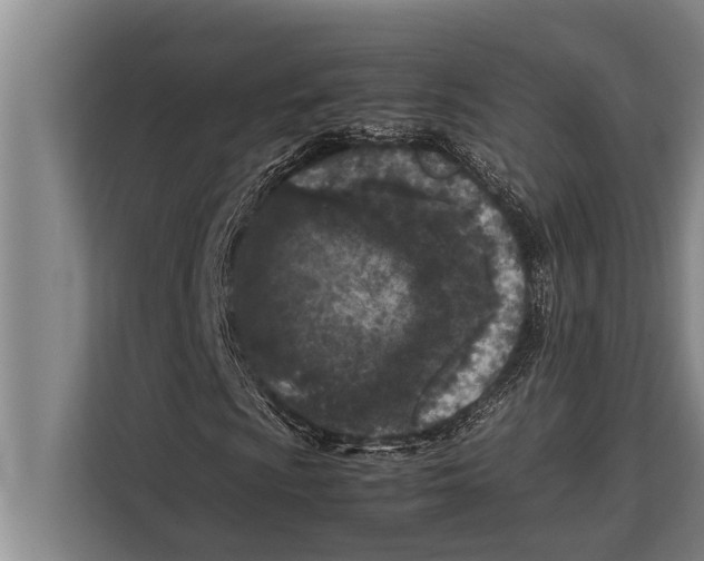 X0000113031009200909171456