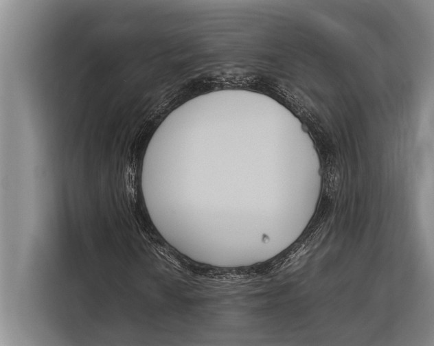 X0000113031010200909171456