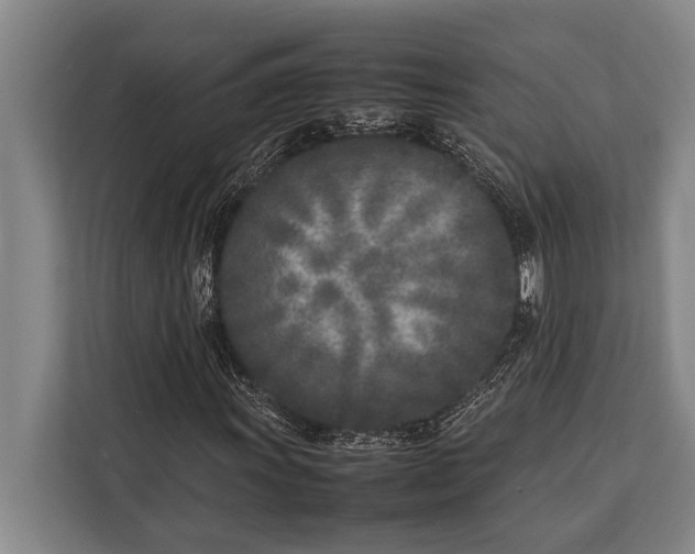 X0000113031011200909171456