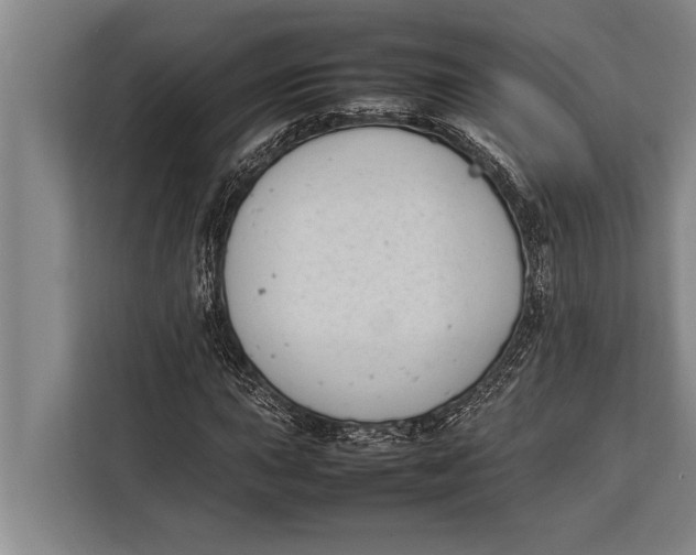 X0000113031015200909171456