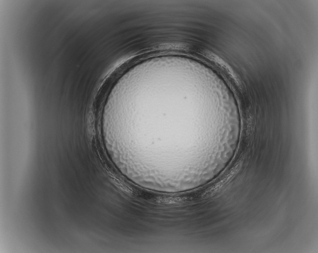 X0000113031019200909171457