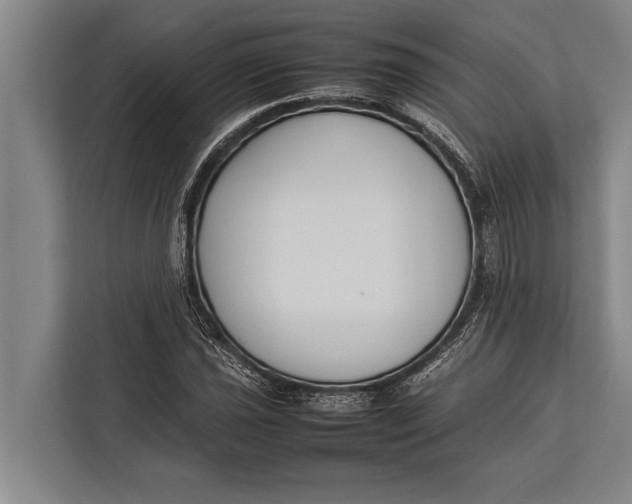 X0000113031021200909171457