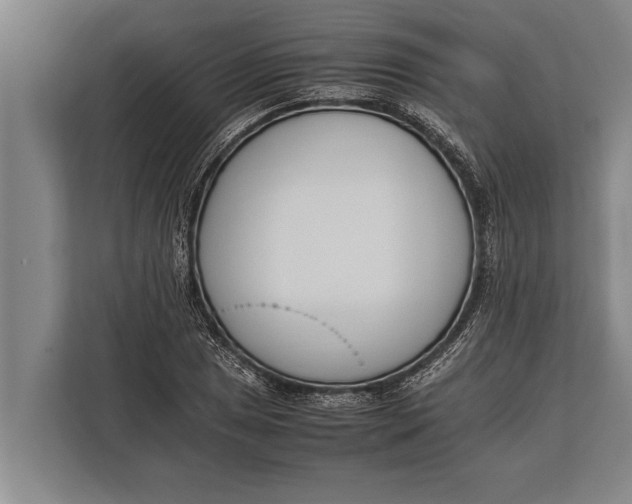 X0000113031025200909171457