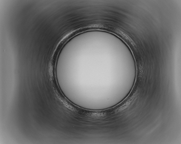 X0000113031029200909171457