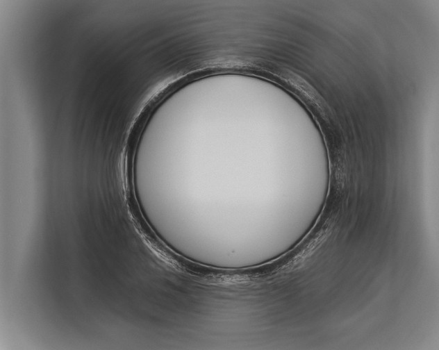 X0000113031030200909171457