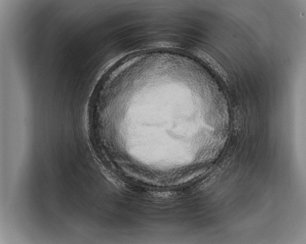 X0000113031031200909171457