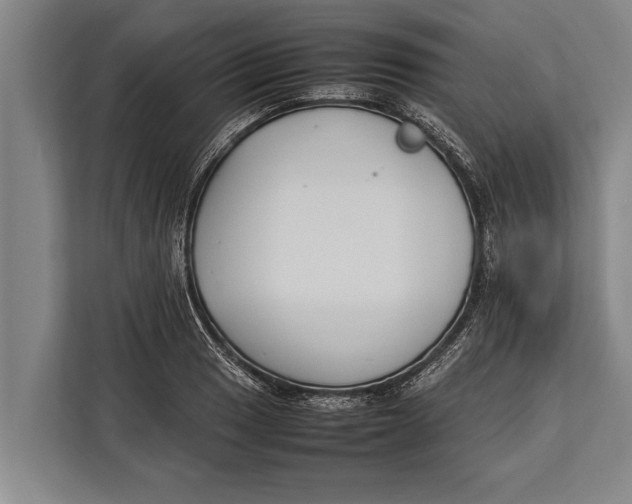 X0000113031033200909171457