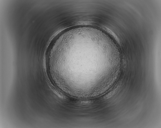 X0000113031035200909171457