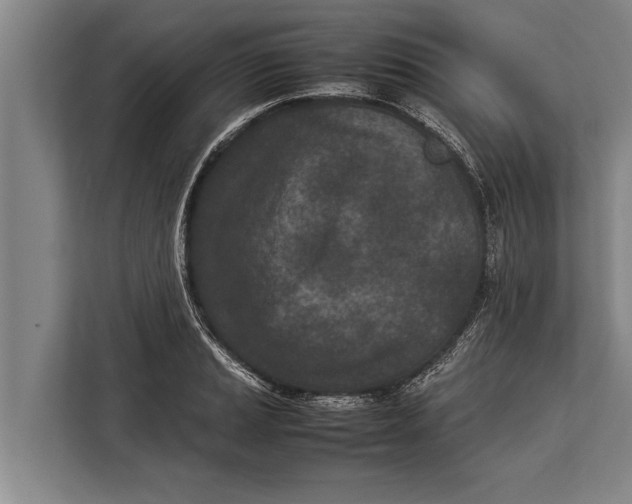 X0000113031037200909171457