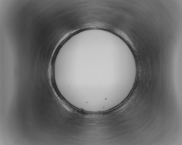 X0000113031040200909171457