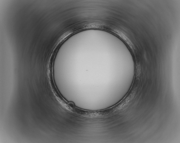 X0000113031042200909171457