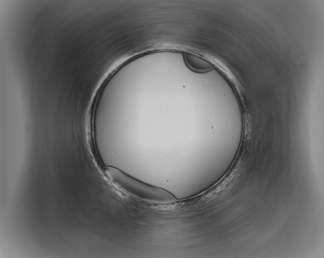 X0000113031048200909171457