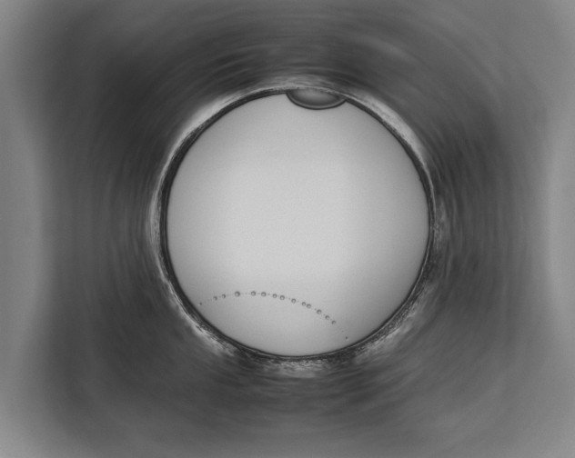 X0000113031053200909171457