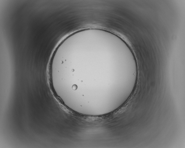 X0000113031056200909171457