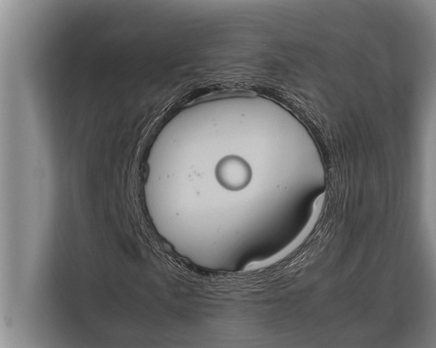 X0000113031057200909171456