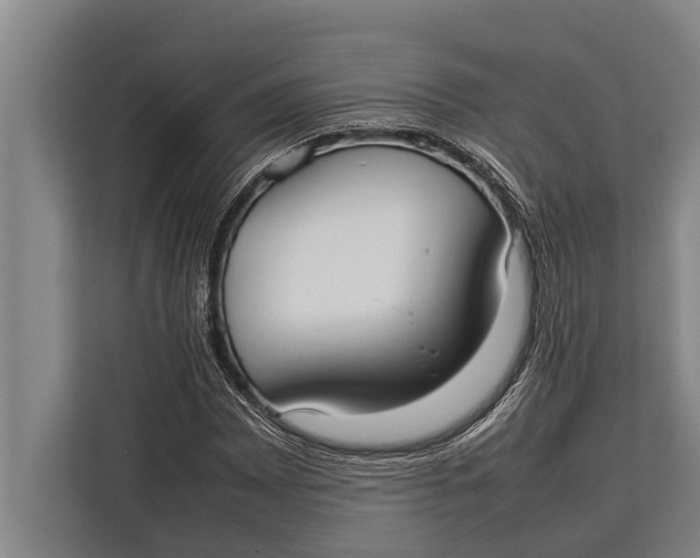 X0000113031065200909171456