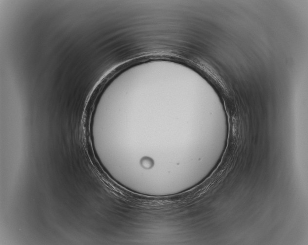 X0000113031068200909171456