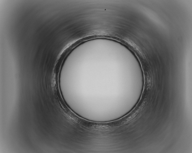 X0000113031070200909171456