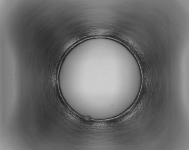 X0000113031073200909171456