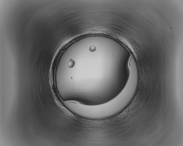 X0000113031080200909171456