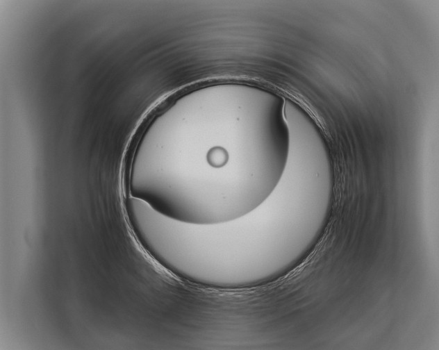 X0000113031084200909171456