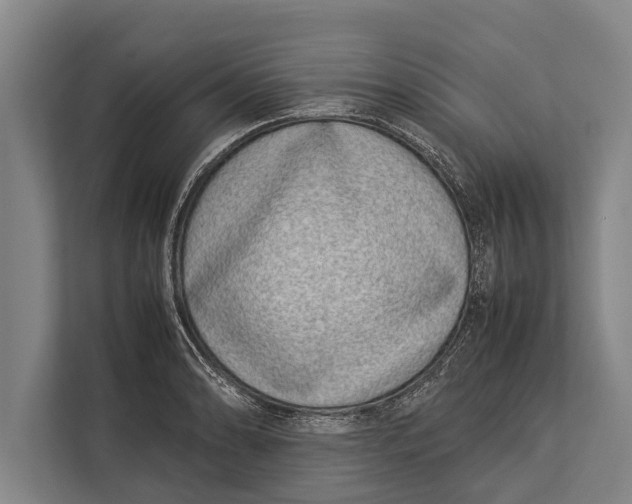 X0000113031086200909171456