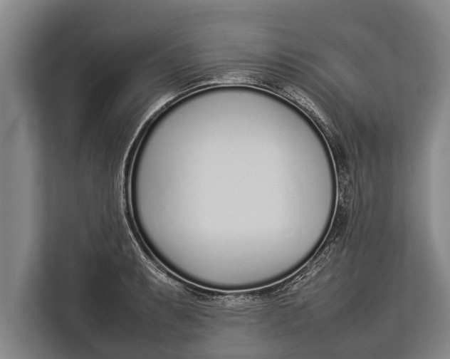 X0000113031087200909171456