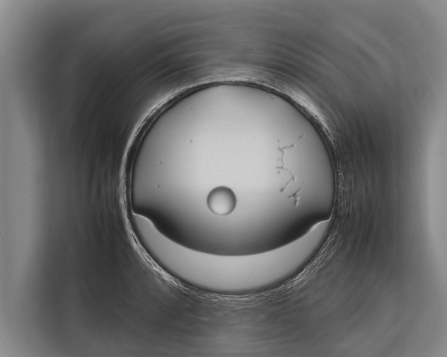 X0000113031088200909171456