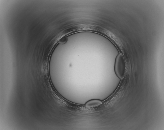 X0000113031089200909171456