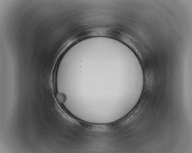 X0000113031090200909171456