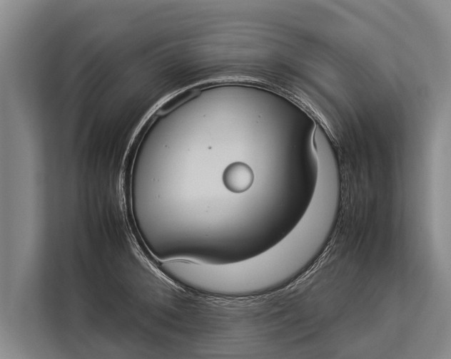 X0000113031092200909171456