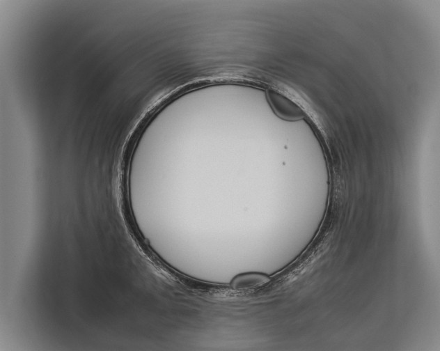 X0000113031093200909171456