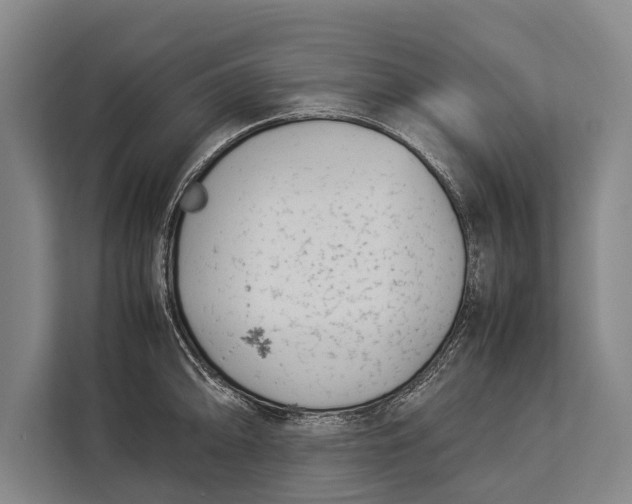 X0000113031094200909171456