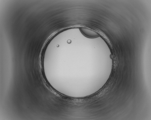 X0000113031096200909171456